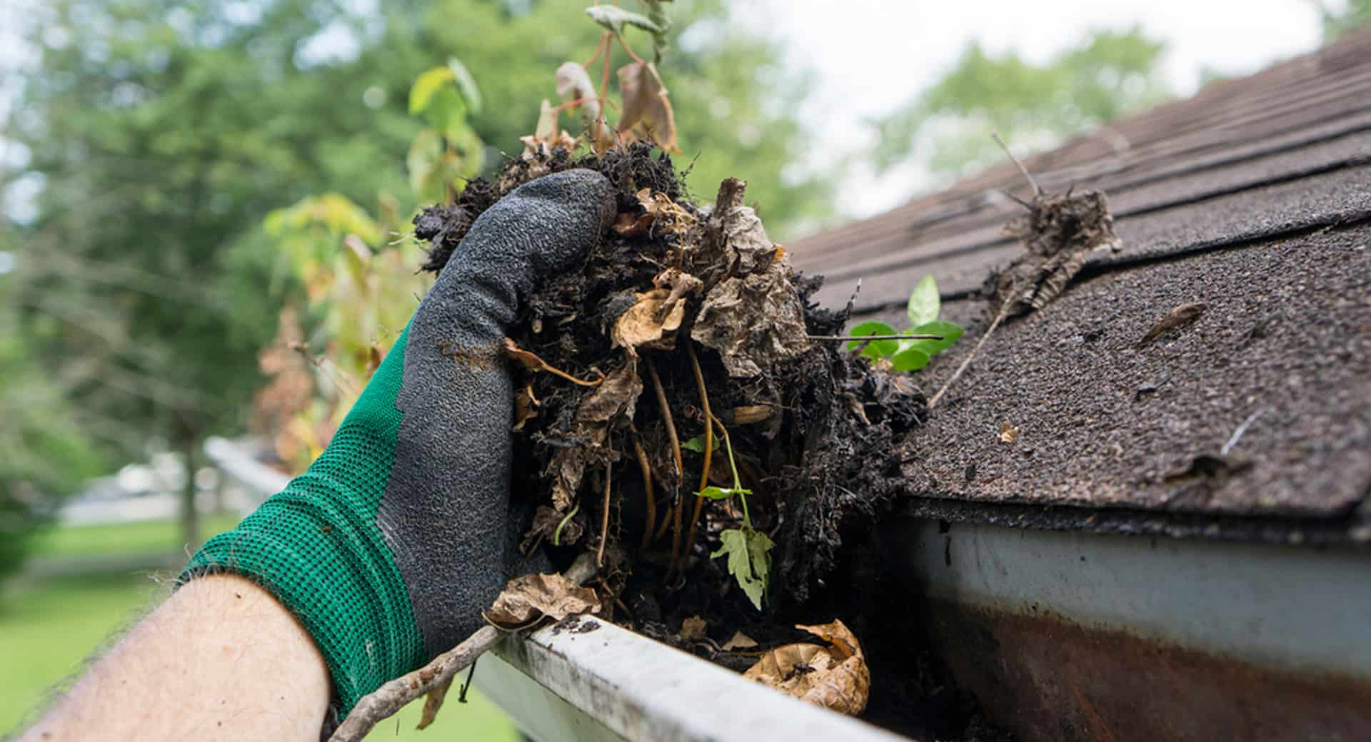 Gutter Cleaning