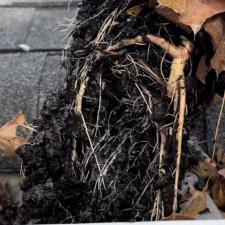 Dirty-Gutter-Cleaning-in-Emerson-New-Jersey-Bergen-County 2